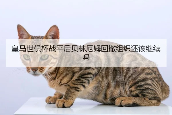 皇马世俱杯战平后贝林厄姆回撤组织还该继续吗