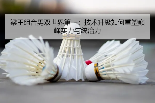 liang-wang-zu-he-nan-shuang-shi-jie-di-yi-ji-shu-sheng-ji-ru-he-zhong-su-dian-feng-shi-li-yu-tong-zhi-li-3-292.jpg