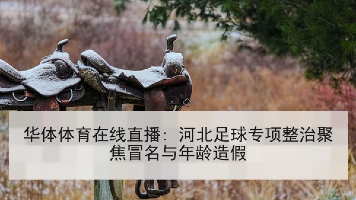 华体体育在线直播: 河北足球专项整治聚焦冒名与年龄造假