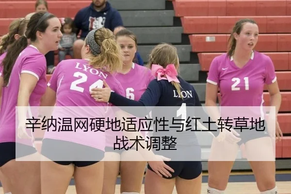辛纳温网硬地适应性与红土转草地战术调整